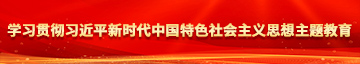 操美女逼网站学习贯彻习近平新时代中国特色社会主义思想主题教育